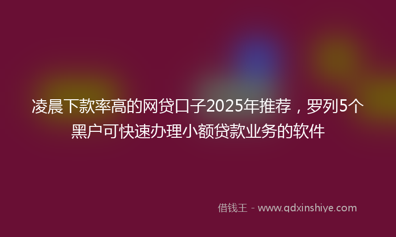 凌晨下款率高的网贷口子2025年推荐，罗列5个黑户可快速办理小额贷款业务的软件