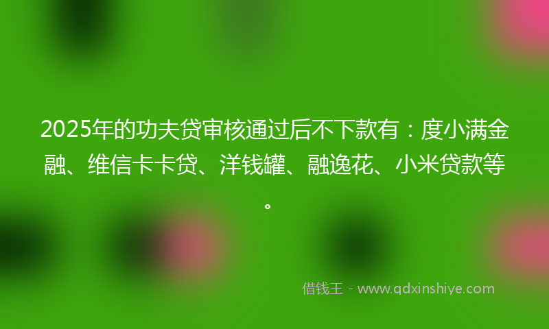 2025年的功夫贷审核通过后不下款有：度小满金融、维信卡卡贷、洋钱罐、融逸花、小米贷款等。