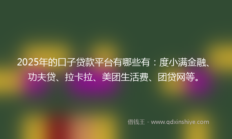 2025年的口子贷款平台有哪些有：度小满金融、功夫贷、拉卡拉、美团生活费、团贷网等。
