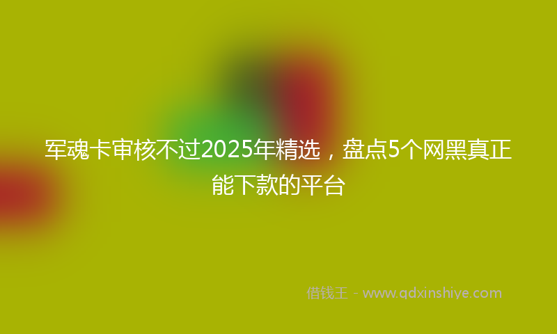 军魂卡审核不过2025年精选，盘点5个网黑真正能下款的平台