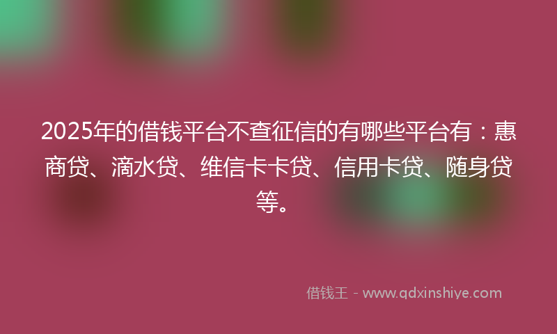 2025年的借钱平台不查征信的有哪些平台有：惠商贷、滴水贷、维信卡卡贷、信用卡贷、随身贷等。