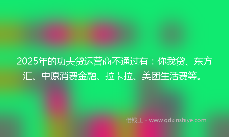 2025年的功夫贷运营商不通过有：你我贷、东方汇、中原消费金融、拉卡拉、美团生活费等。