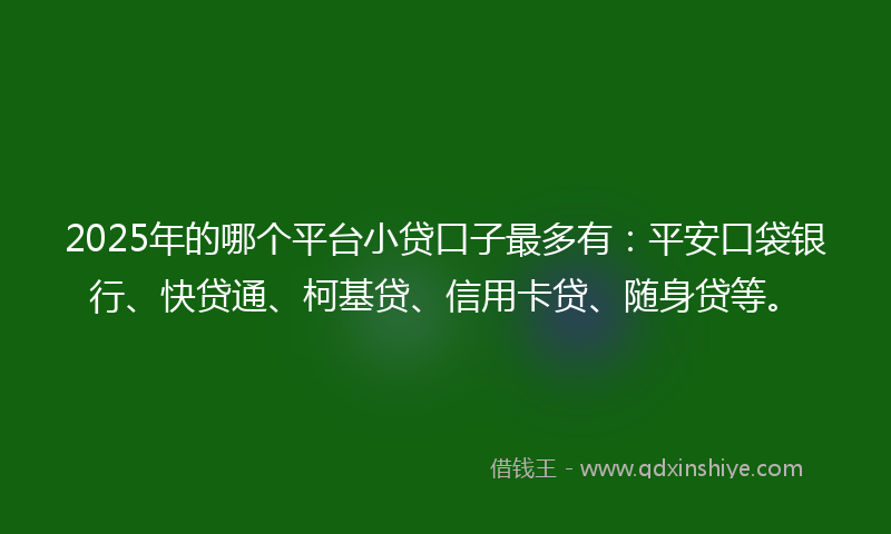 2025年的哪个平台小贷口子最多有：平安口袋银行、快贷通、柯基贷、信用卡贷、随身贷等。