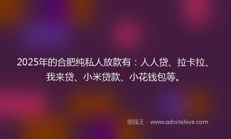 2025年的合肥纯私人放款有：人人贷、拉卡拉、我来贷、小米贷款、小花钱包等。