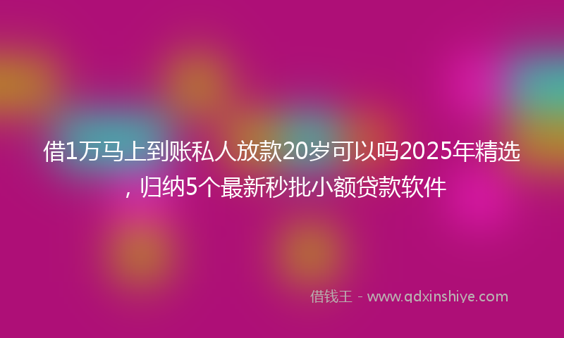 借1万马上到账私人放款20岁可以吗2025年精选，归纳5个最新秒批小额贷款软件