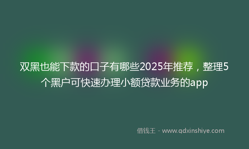 双黑也能下款的口子有哪些2025年推荐，整理5个黑户可快速办理小额贷款业务的app