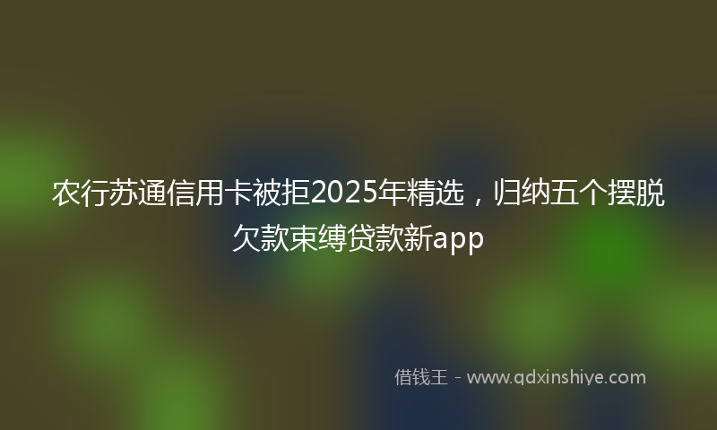农行苏通信用卡被拒2025年精选，归纳五个摆脱欠款束缚贷款新app