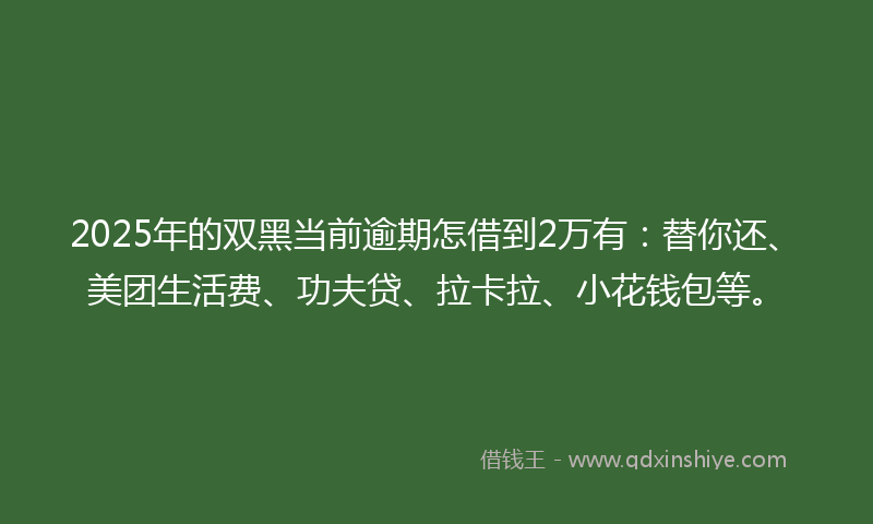 2025年的双黑当前逾期怎借到2万有：替你还、美团生活费、功夫贷、拉卡拉、小花钱包等。