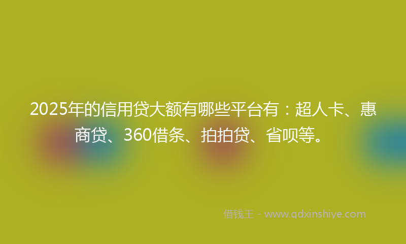 2025年的信用贷大额有哪些平台有：超人卡、惠商贷、360借条、拍拍贷、省呗等。