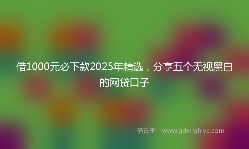 借1000元必下款2025年精选，分享五个无视黑白的网贷口子