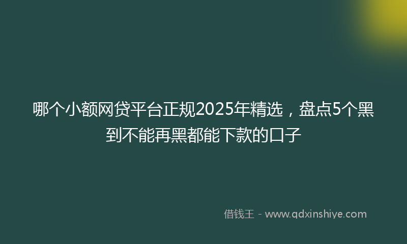 哪个小额网贷平台正规2025年精选，盘点5个黑到不能再黑都能下款的口子
