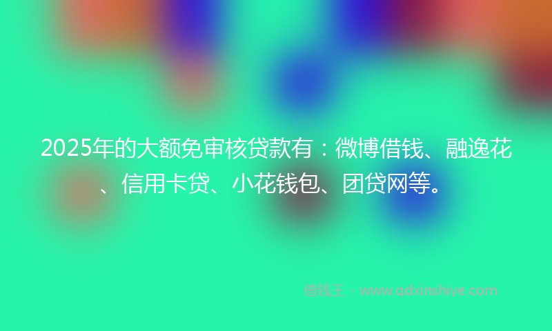 2025年的大额免审核贷款有：微博借钱、融逸花、信用卡贷、小花钱包、团贷网等。