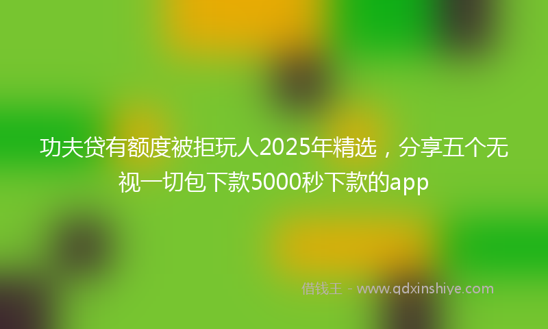 功夫贷有额度被拒玩人2025年精选，分享五个无视一切包下款5000秒下款的app