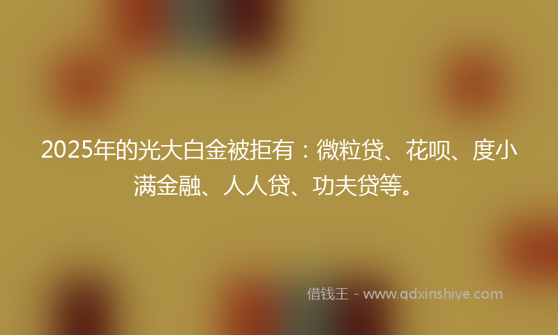 2025年的光大白金被拒有：微粒贷、花呗、度小满金融、人人贷、功夫贷等。