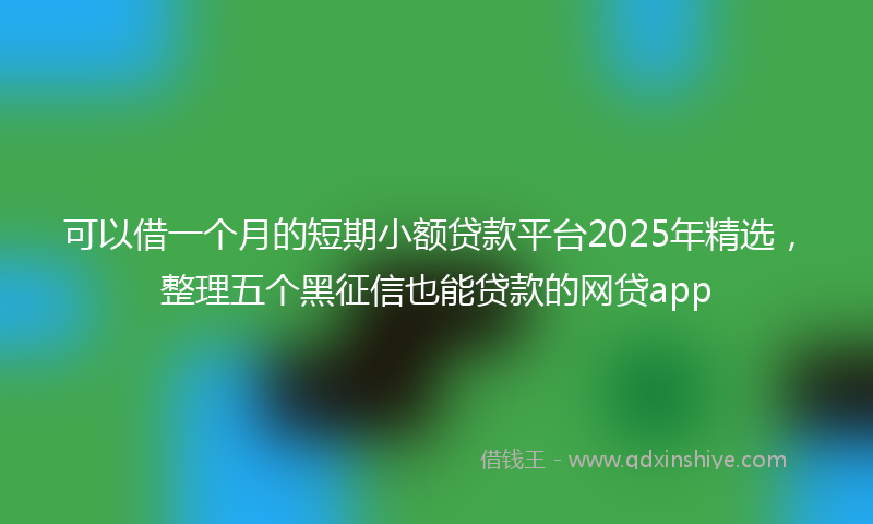 可以借一个月的短期小额贷款平台2025年精选，整理五个黑征信也能贷款的网贷app