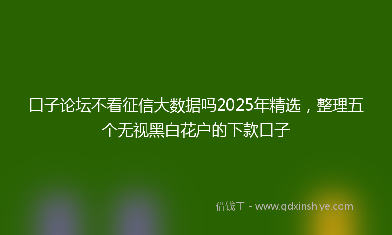 口子论坛不看征信大数据吗2025年精选，整理五个无视黑白花户的下款口子