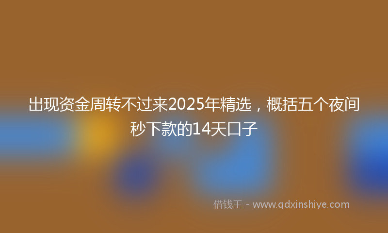 出现资金周转不过来2025年精选，概括五个夜间秒下款的14天口子