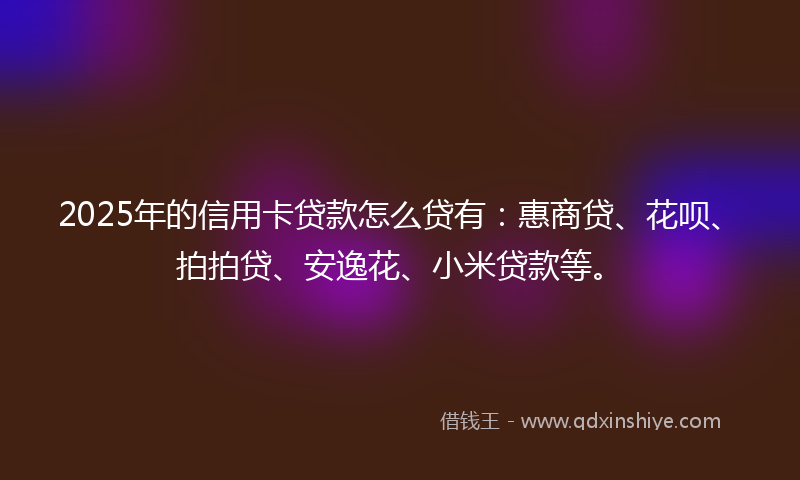 2025年的信用卡贷款怎么贷有：惠商贷、花呗、拍拍贷、安逸花、小米贷款等。