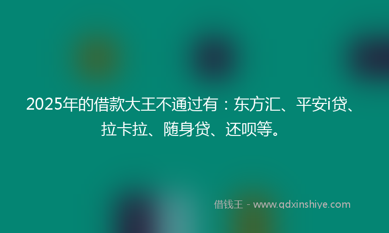 2025年的借款大王不通过有：东方汇、平安i贷、拉卡拉、随身贷、还呗等。