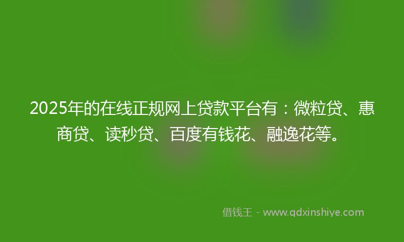 2025年的在线正规网上贷款平台有：微粒贷、惠商贷、读秒贷、百度有钱花、融逸花等。