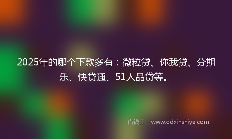 2025年的哪个下款多有：微粒贷、你我贷、分期乐、快贷通、51人品贷等。
