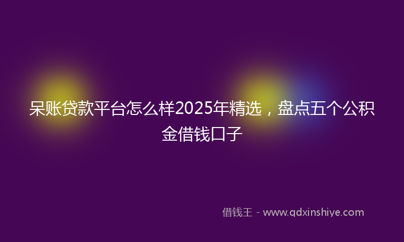 呆账贷款平台怎么样2025年精选，盘点五个公积金借钱口子