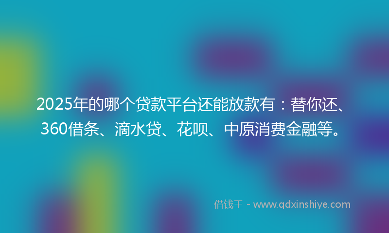 2025年的哪个贷款平台还能放款有：替你还、360借条、滴水贷、花呗、中原消费金融等。