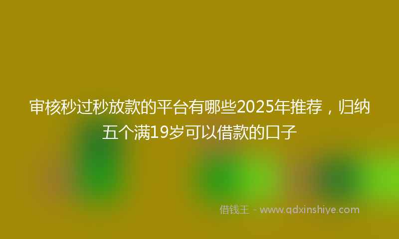 审核秒过秒放款的平台有哪些2025年推荐，归纳五个满19岁可以借款的口子