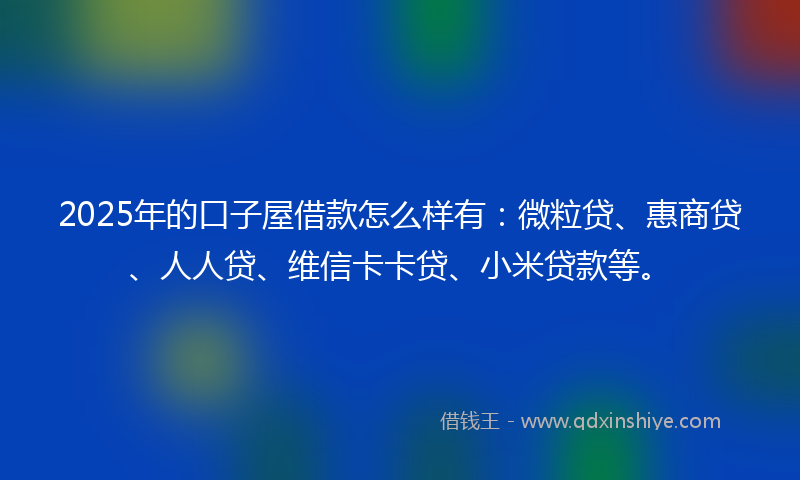 2025年的口子屋借款怎么样有：微粒贷、惠商贷、人人贷、维信卡卡贷、小米贷款等。