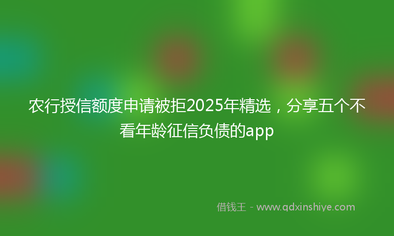 农行授信额度申请被拒2025年精选，分享五个不看年龄征信负债的app