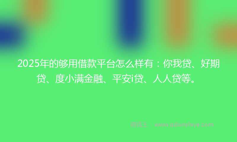 2025年的够用借款平台怎么样有：你我贷、好期贷、度小满金融、平安i贷、人人贷等。