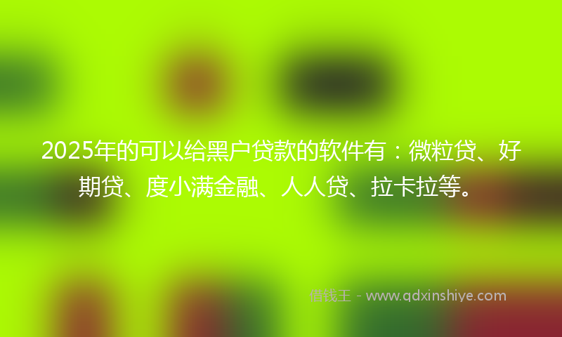2025年的可以给黑户贷款的软件有：微粒贷、好期贷、度小满金融、人人贷、拉卡拉等。