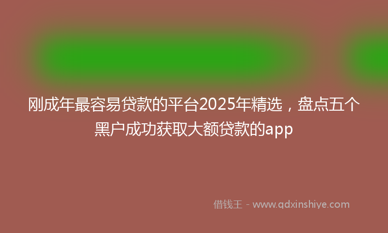 刚成年最容易贷款的平台2025年精选，盘点五个黑户成功获取大额贷款的app