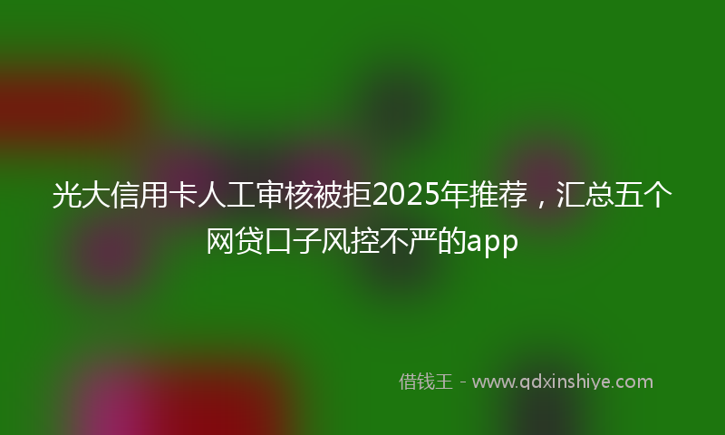 光大信用卡人工审核被拒2025年推荐，汇总五个网贷口子风控不严的app