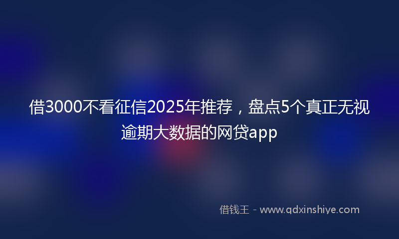 借3000不看征信2025年推荐，盘点5个真正无视逾期大数据的网贷app