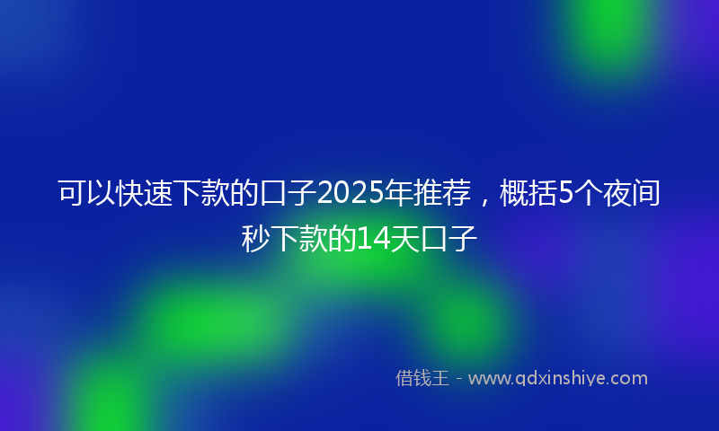 可以快速下款的口子2025年推荐，概括5个夜间秒下款的14天口子