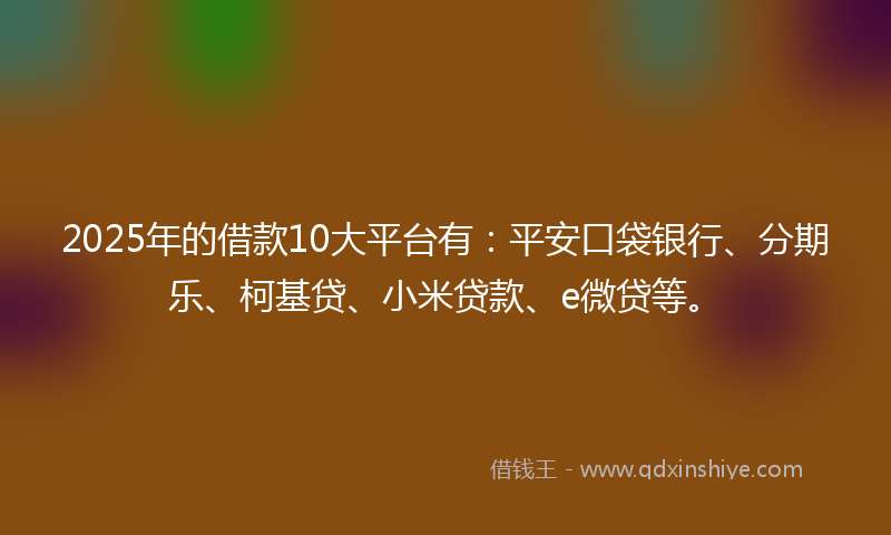 2025年的借款10大平台有：平安口袋银行、分期乐、柯基贷、小米贷款、e微贷等。