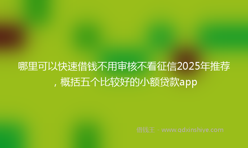 哪里可以快速借钱不用审核不看征信2025年推荐，概括五个比较好的小额贷款app