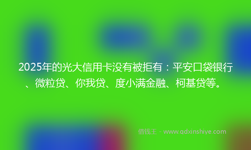 2025年的光大信用卡没有被拒有：平安口袋银行、微粒贷、你我贷、度小满金融、柯基贷等。
