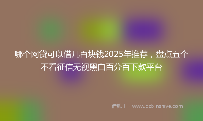 哪个网贷可以借几百块钱2025年推荐，盘点五个不看征信无视黑白百分百下款平台