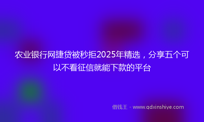 农业银行网捷贷被秒拒2025年精选，分享五个可以不看征信就能下款的平台