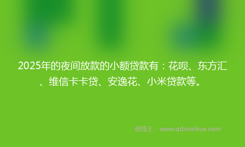 2025年的夜间放款的小额贷款有：花呗、东方汇、维信卡卡贷、安逸花、小米贷款等。