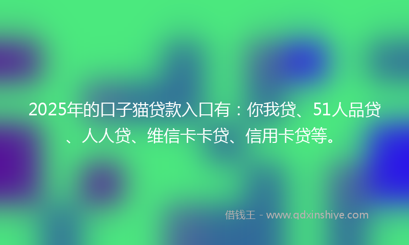 2025年的口子猫贷款入口有：你我贷、51人品贷、人人贷、维信卡卡贷、信用卡贷等。