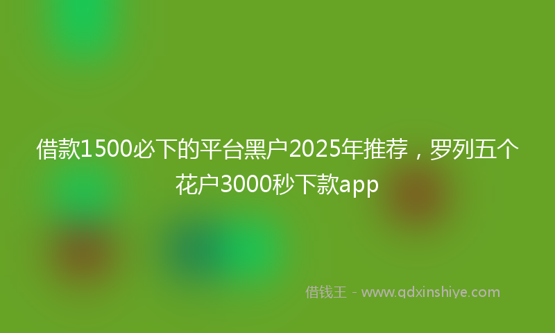 借款1500必下的平台黑户2025年推荐，罗列五个花户3000秒下款app