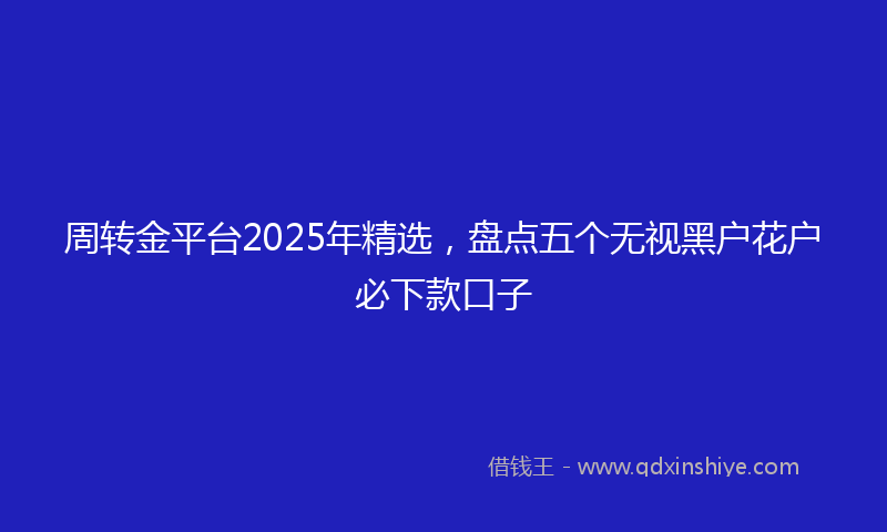 周转金平台2025年精选，盘点五个无视黑户花户必下款口子
