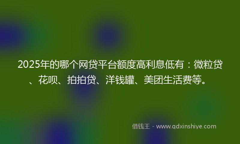 2025年的哪个网贷平台额度高利息低有：微粒贷、花呗、拍拍贷、洋钱罐、美团生活费等。