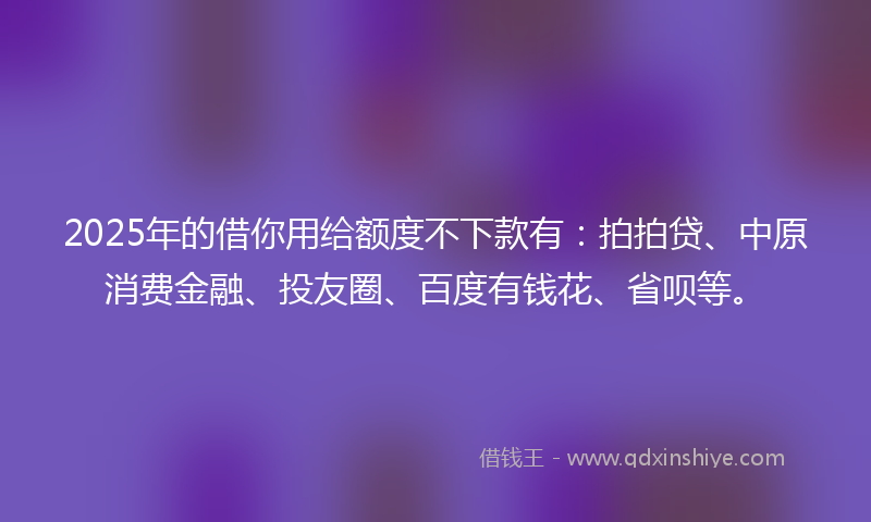 2025年的借你用给额度不下款有：拍拍贷、中原消费金融、投友圈、百度有钱花、省呗等。