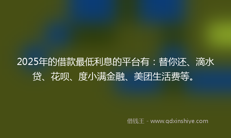 2025年的借款最低利息的平台有：替你还、滴水贷、花呗、度小满金融、美团生活费等。