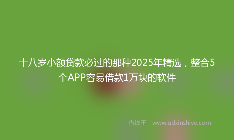 十八岁小额贷款必过的那种2025年精选，整合5个APP容易借款1万块的软件