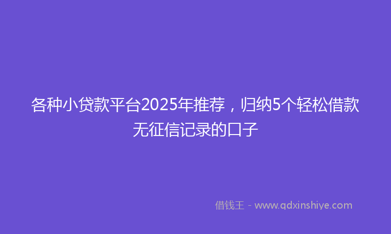 各种小贷款平台2025年推荐，归纳5个轻松借款无征信记录的口子